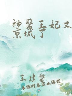 神医王妃又轰动京城了