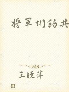 将军们的共妻H