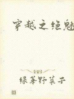 穿越之绝魅王妃