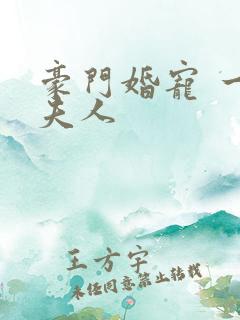 豪门婚宠 一品夫人