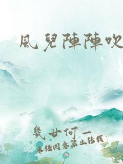 风儿阵阵吹