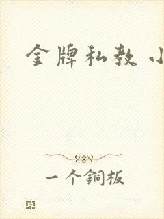 金牌私教 小说