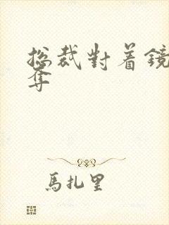 总裁对着镜子掠夺