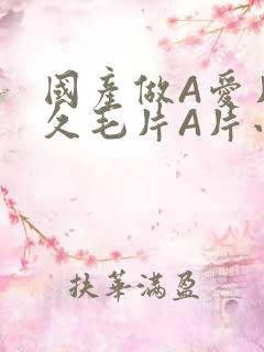 国产做A爱片久久毛片A片小说