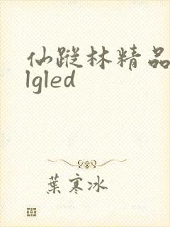 仙踪林精品zzlgled