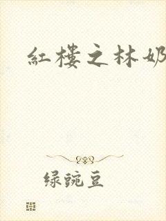 红楼之林奶奶