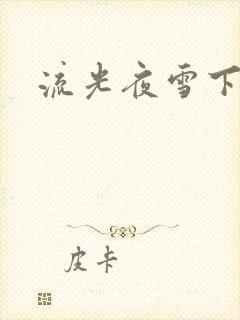 流光夜雪下载