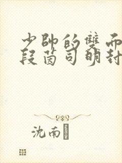 少帅的双面宠妻段茵司明封免费