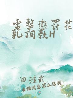 电击惩罚花蒂榨乳调教H