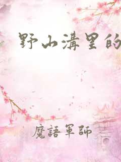 野山沟里的村庄