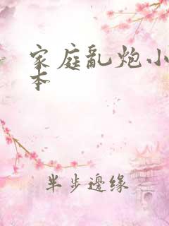 家庭乱炮小说全本