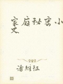 家庭秘密小说全文