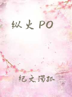 纵火 PO