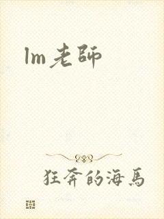 lm老师
