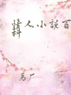 情人小说百度百科