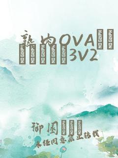 熟肉OVAちゃんはしたい3V2
