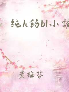 纯h的bl小说