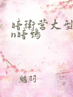 暗卫营大型hpn暗鸦