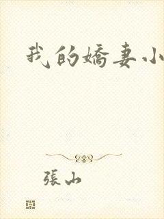 我的娇妻小说