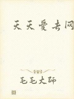 天天爱去网
