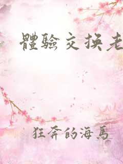 体验交换老公