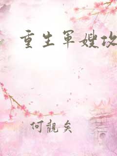 重生军嫂攻略