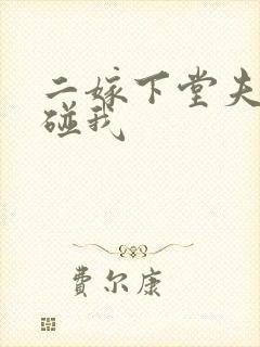 二嫁下堂夫君别碰我