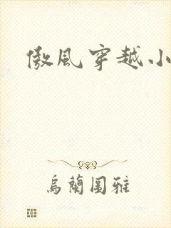 傲风穿越小说吧