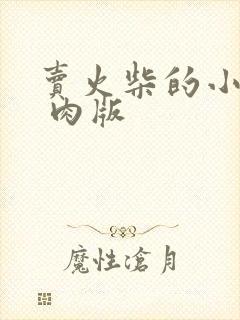 卖火柴的小男孩 肉版