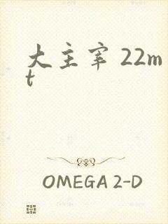 大主宰 22mt