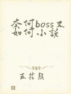奈何boss又如何小说