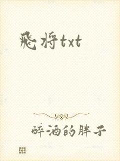 飞将txt