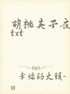 胡桃夹子夜未眠txt