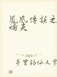 凤凰传说之独宠娇夫