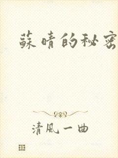 苏晴的秘密小说