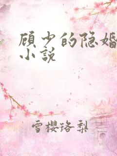 顾少的隐婚罪妻小说