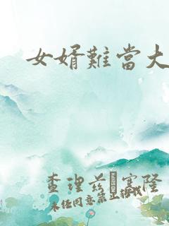 女婿难当大结局