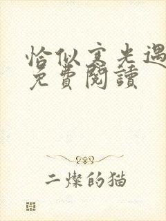 恰似寒光遇骄阳免费阅读