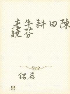 老牛耕田陈雪杨晓芬