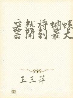 突然将蝴蝶遥控器开到最大