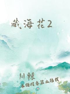 藏海花2
