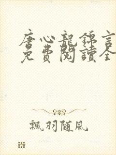 唐心龙锦言小说免费阅读全文