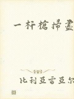 一杆枪扫尽全家