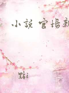 小说 官场新贵