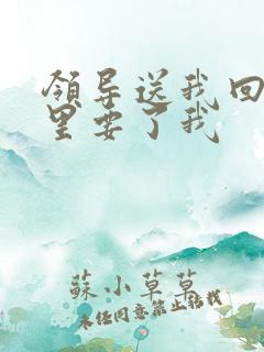 领导送我回家车里要了我