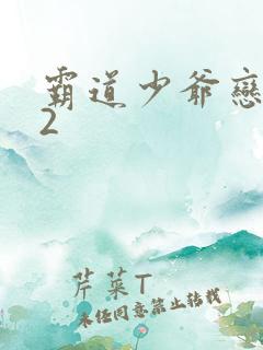 霸道少爷恋上我2