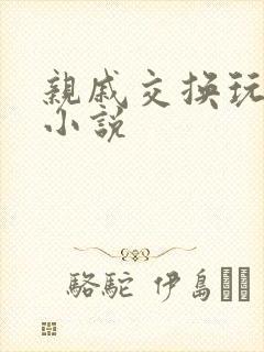 亲戚交换玩美妇小说