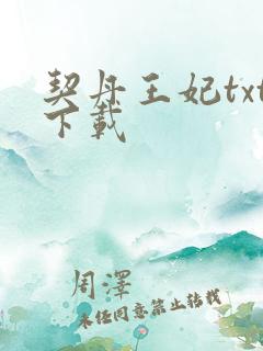 契丹王妃txt下载