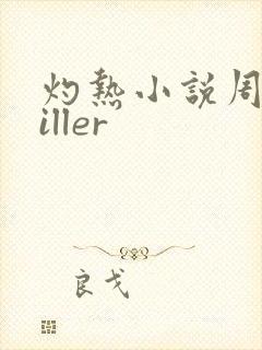 灼热小说周防killer