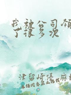 我被公司领导C了很多次